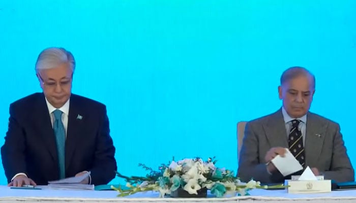 اسکرین گرایب