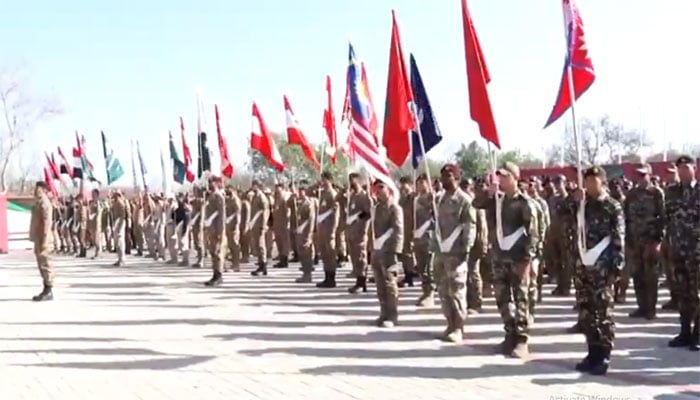 ویڈیو گریب۔