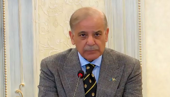 فوٹو: اسکرین گریب