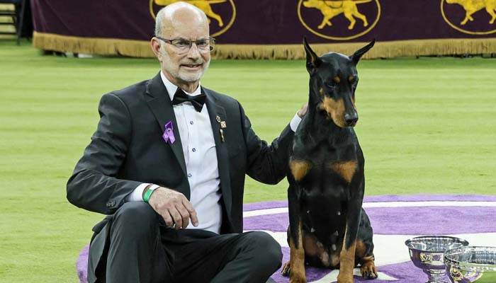 Penny the Doberman pinscher wins 150th Westminster Dog Show crown