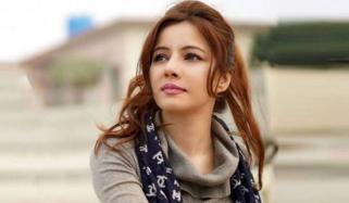 رابی پیرزادہ کو ہراساں کرنیوالا شخص گرفتار