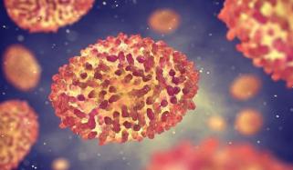 ایک مہلک وائرس مستقبل میں عالمی وباء کی وجہ بن سکتا ہے: ماہرین نے خبردار کر دیا