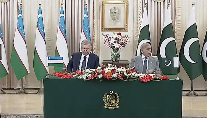 اسکرین گریب/ یوٹیوب