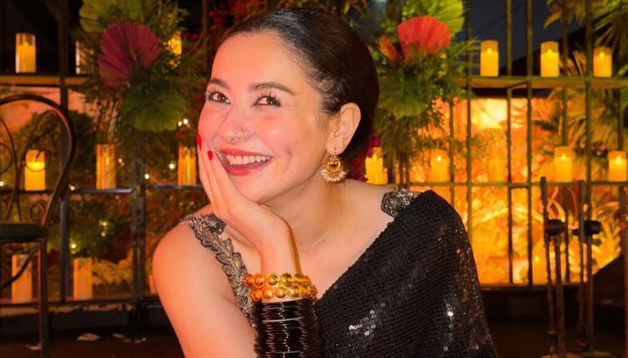 ہانیہ عامر — فائل فوٹو