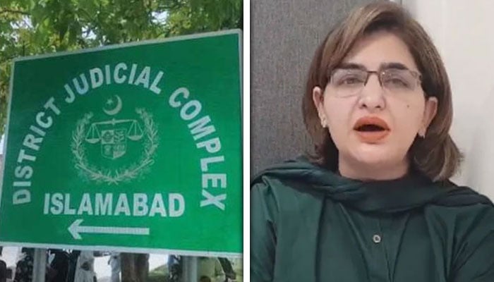 پی ٹی آئی رہنما سیمابیہ طاہر—فائل فوٹو