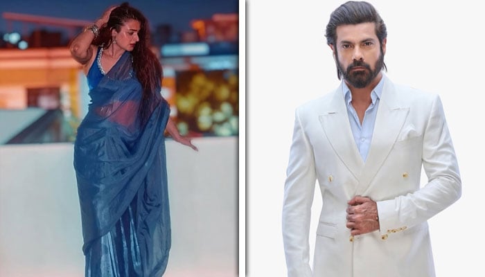 سہیل سمیر اور حرا مانی— فائل فوٹو