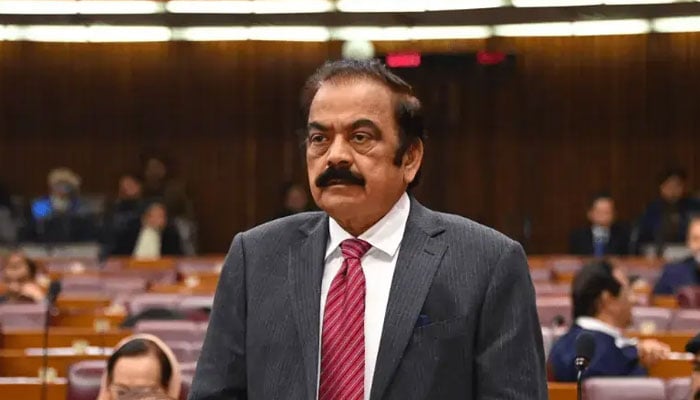 رانا ثنا اللّٰہ— فائل فوٹو