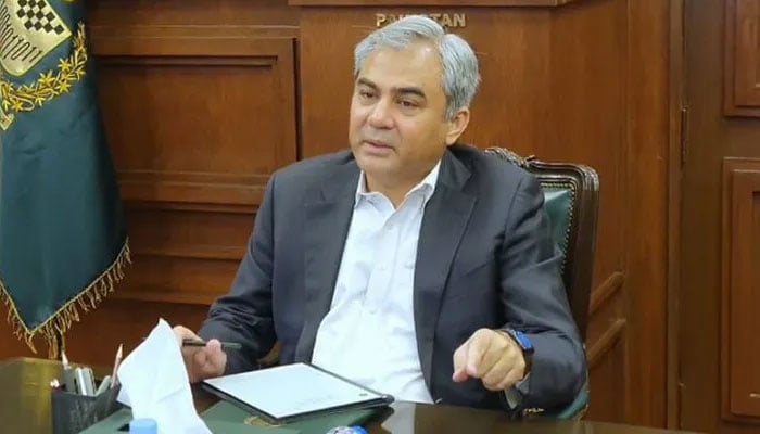 وزیر داخلہ محسن نقوی : فائل فوٹو