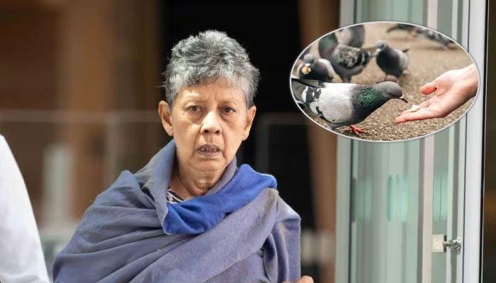 — تصویر بشکریہ غیر ملکی میڈیا