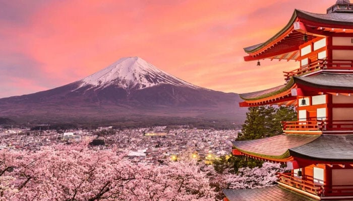 —تصویر بشکریہ غیر ملکی میڈیا