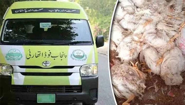 — فائل فوٹو