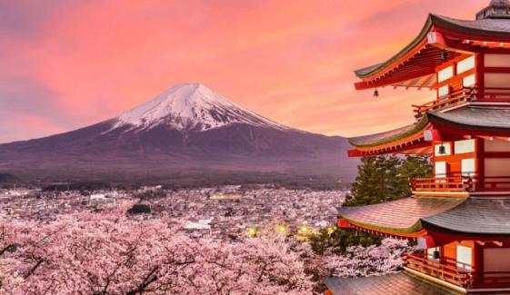جاپان: فوجی یوشیدا میں چیری بلاسم فیسٹیول منسوخ، وجہ کیا بنی؟