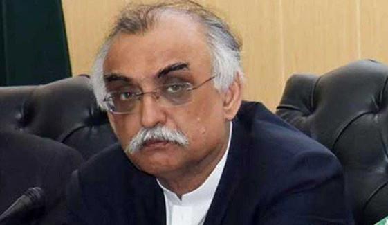 آئی ایم ایف سے چھٹکارا پانا بے کار کی بات ہے: شبر زیدی