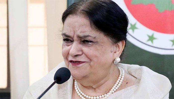 نسرین جلیل : فائل فوٹو