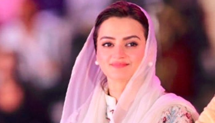 8 فروری کو جلا دو، گرا دو کی کال تھی جو ناکام  رہی، مریم اورنگزیب