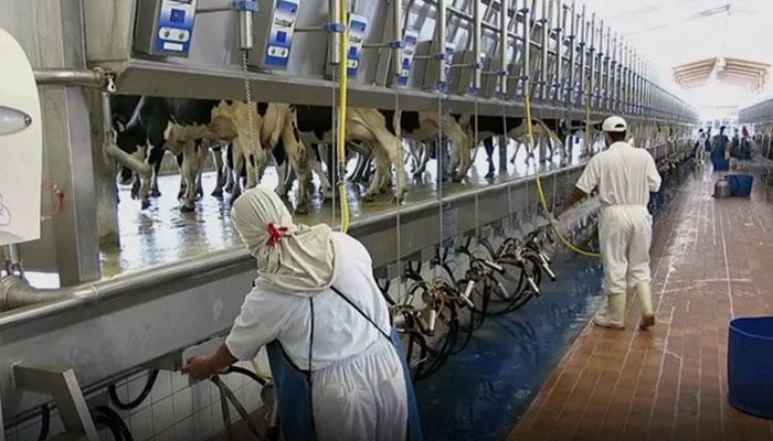 ---فائل فوٹو