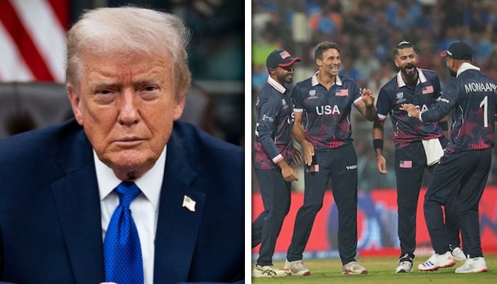 —کولاج بشکریہ سوشل میڈیا