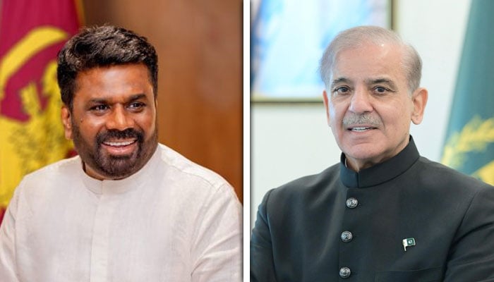 وزیراعظم شہباز شریف سے سری لنکن صدر کا رابطہ، بھارت کیخلاف میچ کھیلنے کی درخواست