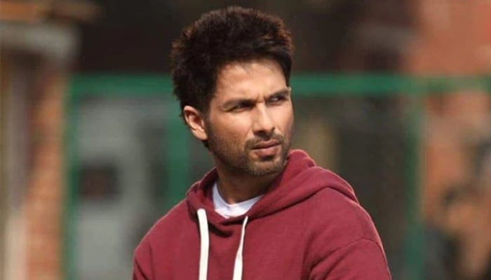 Shahid Kapoor shares stance on Sandeep Reddys Kabir Singh, Animal crossover