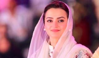 8 فروری کو جلا دو، گرا دو کی کال تھی جو ناکام  رہی، مریم اورنگزیب  