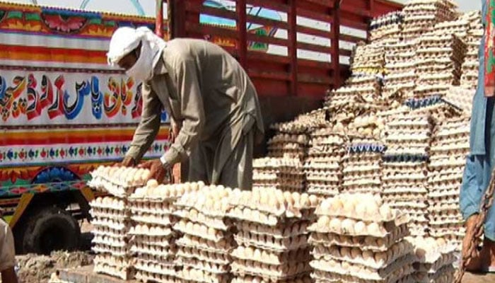 — فائل فوٹو