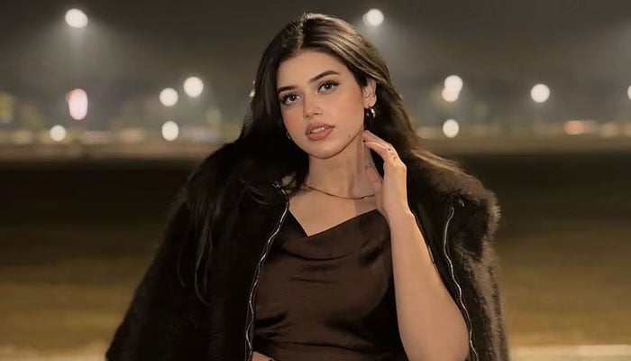 علینہ عامر— فائل فوٹو