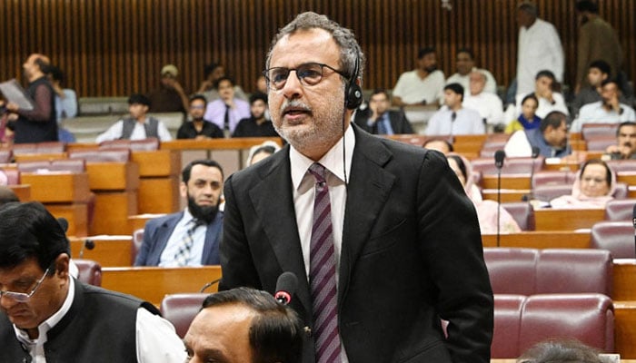 وفاقی وزیر بجلی و توانائی اویس لغاری۔فوٹو: فائل