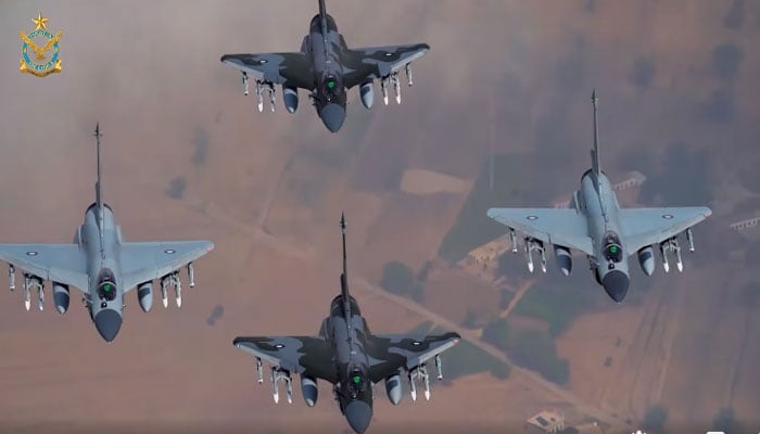 ویڈیو گریب۔