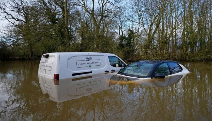 تصویر سوشل میڈیا۔