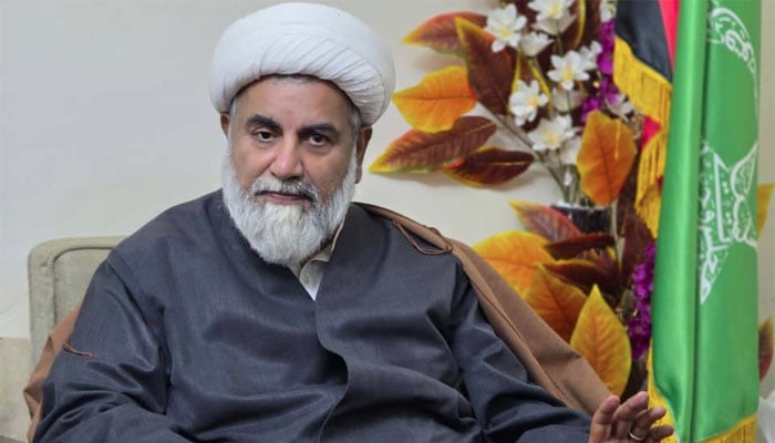 کوشش کریں گے کہ ملک مزید بحرانوں کا شکار نہ ہو، سینیٹر علامہ ناصر عباس