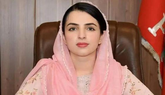 مشال یوسفزئی کی کورم نشاندہی پر سینیٹ ارکان برہم