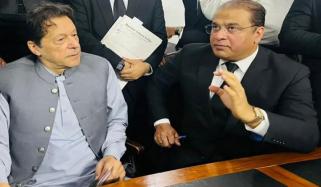 بانی کی صحت ٹھیک ہے، ہمیں پوری رسائی دی گئی، سلمان صفدر