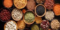 سویا بین، مسور، مونگ یا چنا؟ کس دال میں ہے سب سے زیادہ پروٹین؟