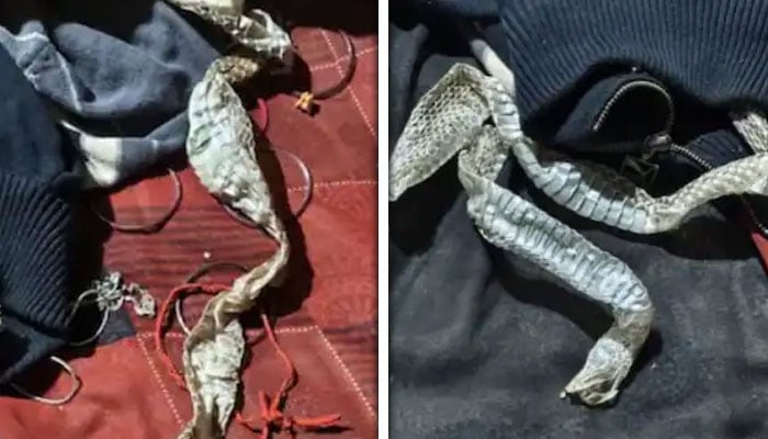 ---تصاویر بشکریہ بھارتی میڈیا