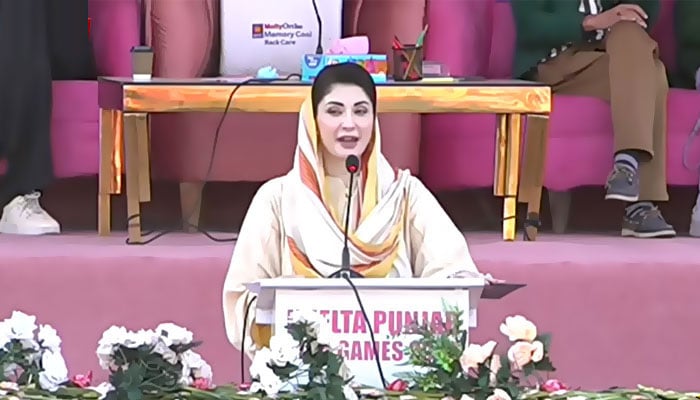 مریم نواز : اسکرین گریب