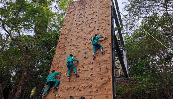 فوٹو: سوشل میڈیا