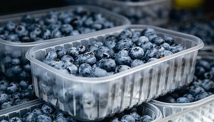 معدے، دماغ اور دل کی صحت کیلئے مفید چھوٹا سا پھل بلیوبیری