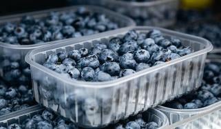 معدے، دماغ اور دل کی صحت کیلئے مفید چھوٹا سا پھل بلیوبیری