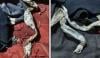 بھارت: لڑکی پراسرار طور پر لاپتہ، کمرے سے سانپ کی کھال برآمد