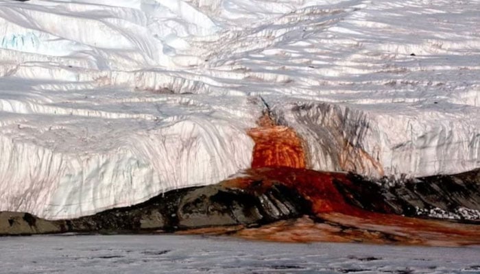 تصویر بین الاقوامی میڈیا