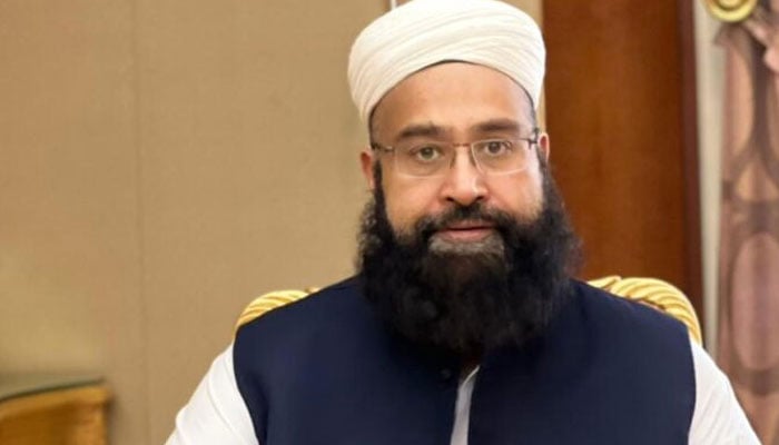 ملک میں موجود سہولت کاروں کا جب خاتمہ ہوگا تب دیکھیں گے کہ دہشتگرد کیسے آتے ہیں؟، علامہ طاہر اشرفی - فوٹو: فائل