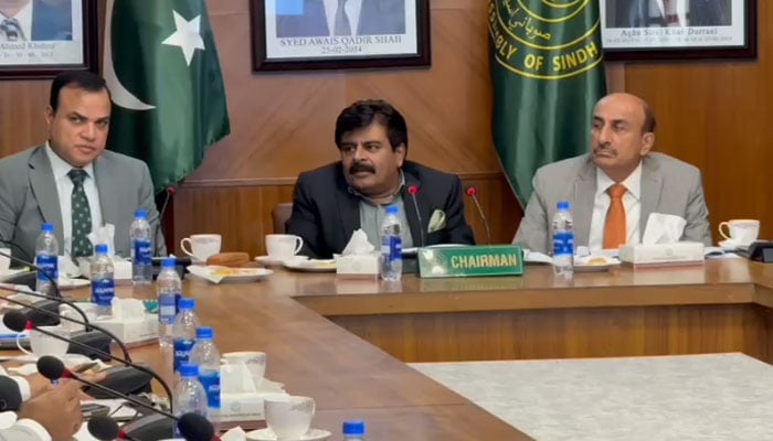 وزیر تعلیم سندھ سید سردار شاہ کمیٹی اجلاس کی صدرات کر رہے ہیں - فوٹو: اسکرین گریب