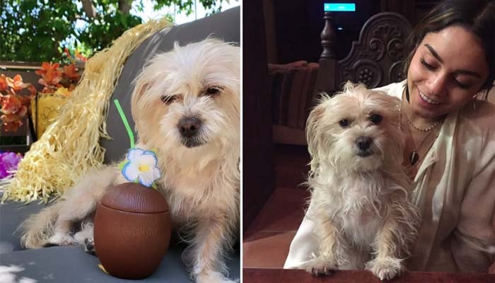 Vanessa Hudgens mourns loss of her beloved dog Darla