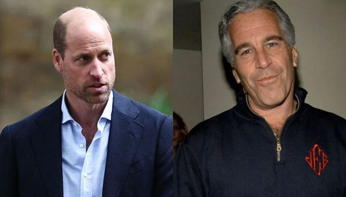 Prince William dream project lands in trouble over indirect link with Epstein