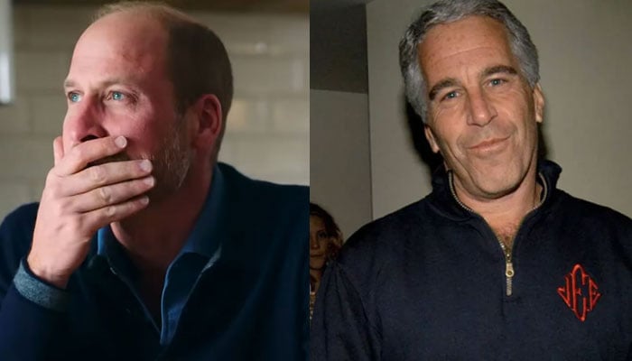 Prince William rep issues first statement on Earthshot’s rare ink with Epstein