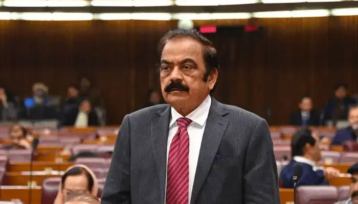 رانا ثناء اللّٰہ — فائل فوٹو