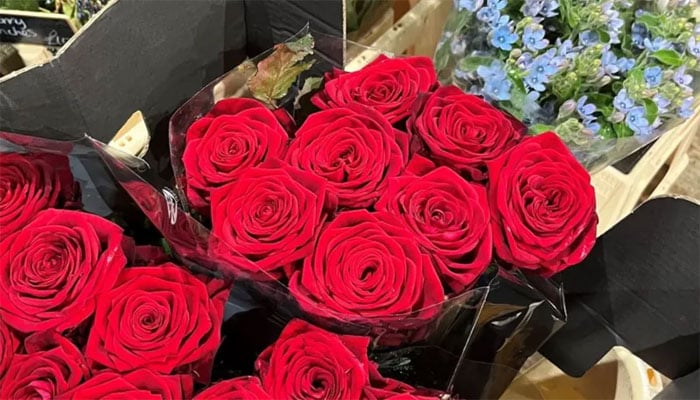 برطانیہ میں ویلنٹائن ڈے کی تیاریاں عروج پر، پھول اور گلدستوں کی مانگ میں اضافہ