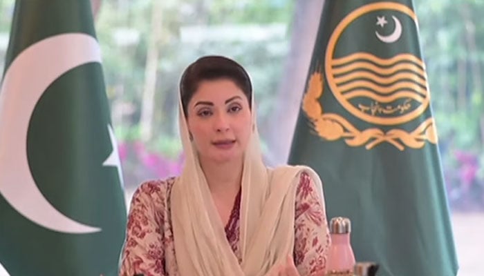 تصویر، اسکرین گریب