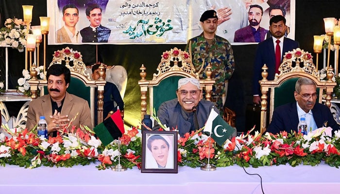 پاکستان پیپلز پارٹی، فیس بک