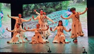 آرٹس کونسل میں کتھک کے ضبط اور نزاکت کی شاندار پیشکش’’اقسامِ ناچ: اندازِ کتھک‘‘